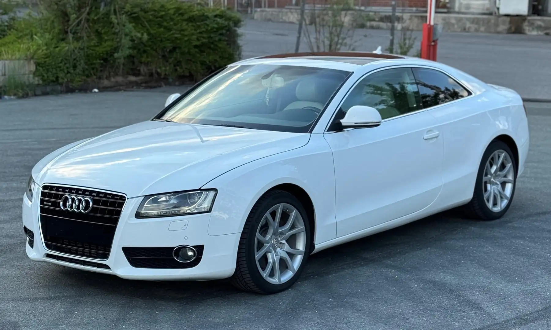 Audi A5 A5 3.0 TDI tiptr quattro - ABT Leistung. 282 PS Weiß - 1