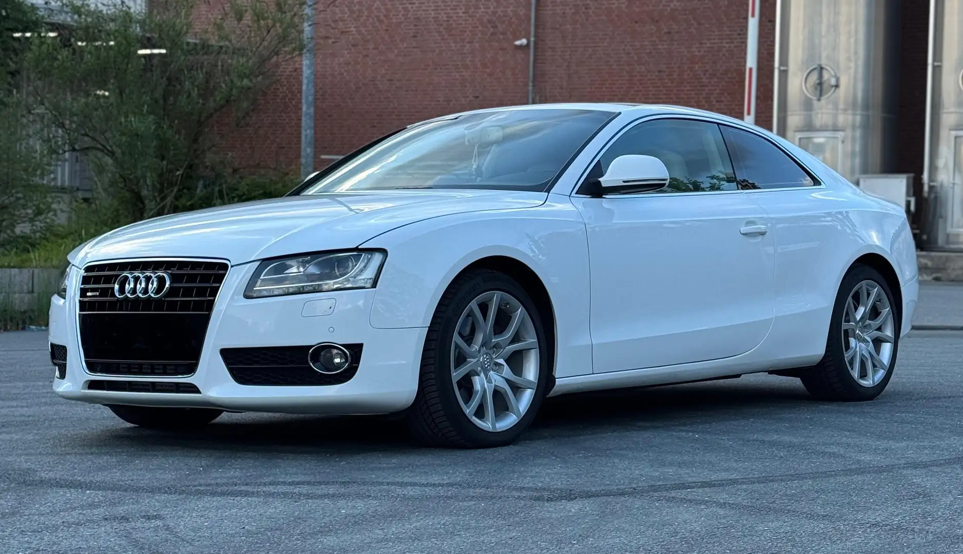 Audi A5 A5 3.0 TDI tiptr quattro - ABT Leistung. 282 PS Weiß - 2