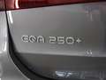 Mercedes-Benz EQA 250+ Business Edition 250+ Business Edition Panora Grau - thumbnail 45