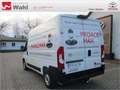 Toyota Proace Max L2H2,AHK,Regalsystem Würth Blanc - thumbnail 2