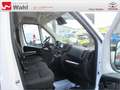 Toyota Proace Max L2H2,AHK,Regalsystem Würth Blanc - thumbnail 7