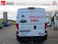 Toyota Proace Max L2H2,AHK,Regalsystem Würth Blanc - thumbnail 4