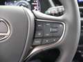 Lexus UX 250h Business Line | Apple Carplay & Android Auto | Clo Grijs - thumbnail 15