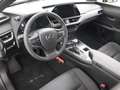 Lexus UX 250h Business Line | Apple Carplay & Android Auto | Clo Grijs - thumbnail 42