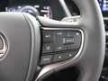 Lexus UX 250h Business Line | Apple Carplay & Android Auto | Clo Grijs - thumbnail 44