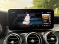 Mercedes-Benz C 300 C 300 d 4Matic (205.019) Grün - thumbnail 13