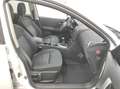Nissan Qashqai+2 2.0 PANORA 7-SITZER AHK KLIMAA KAMERA NAVI TEMP BC Weiß - thumbnail 10