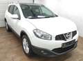 Nissan Qashqai+2 2.0 PANORA 7-SITZER AHK KLIMAA KAMERA NAVI TEMP BC Weiß - thumbnail 3