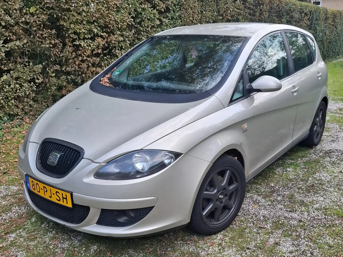 SEAT Altea Altea 2.0 FSI Stylance Beige - 1