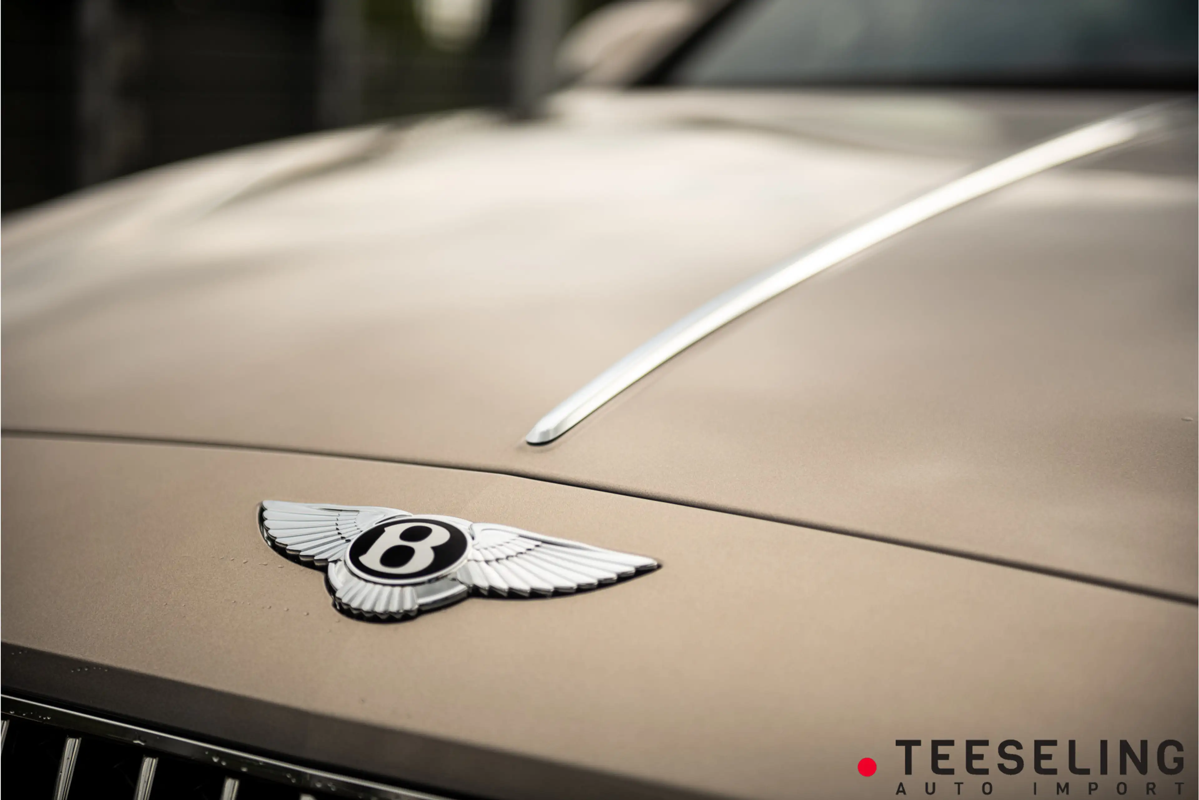 Bentley Flying Spur 4.0 V8 | Extreme Silver | Massage — photo 12