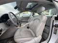 Mercedes-Benz CLK 200 Deportivo Automático de 2 Puertas Grau - thumbnail 5