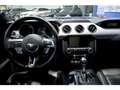 Ford Mustang Fastback 5.0 Ti-VCT GT Aut. plava - thumbnail 6