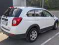 Chevrolet Captiva Captiva 2.2 TCDi FWD LS 7pl. Wit - thumbnail 4