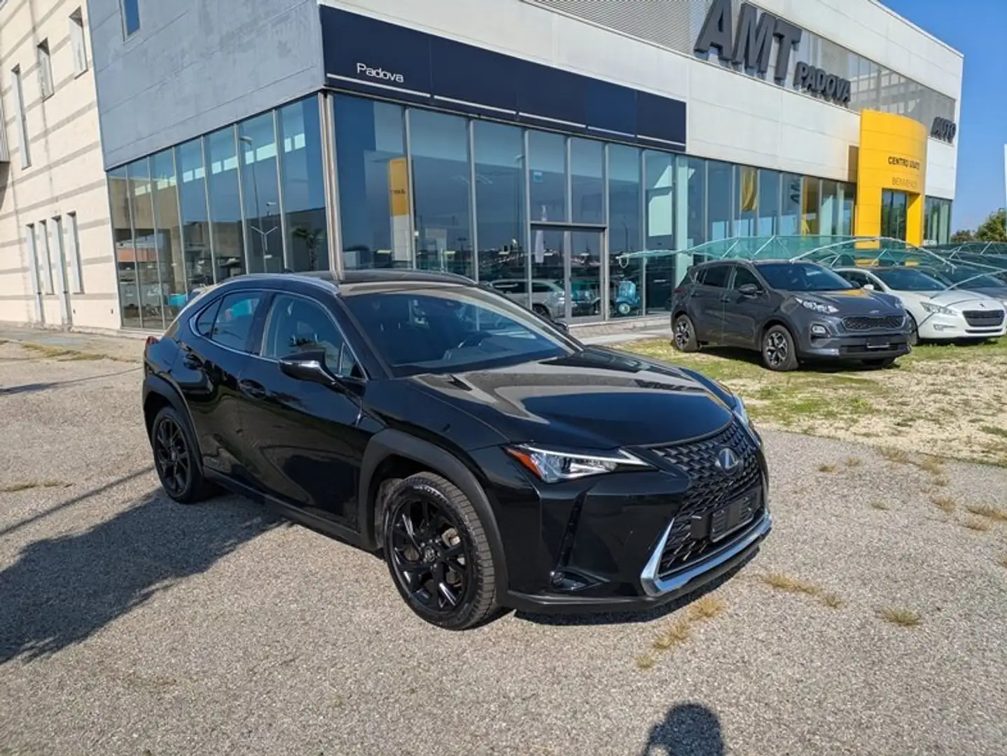 Lexus UX 250h UX 250h 2.0  cvt PRONTA CONSEGNA Schwarz - 1