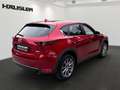 Mazda CX-5 2.5 Signature AWD Head UP*360 Kamera*Navi* Rouge - thumbnail 4