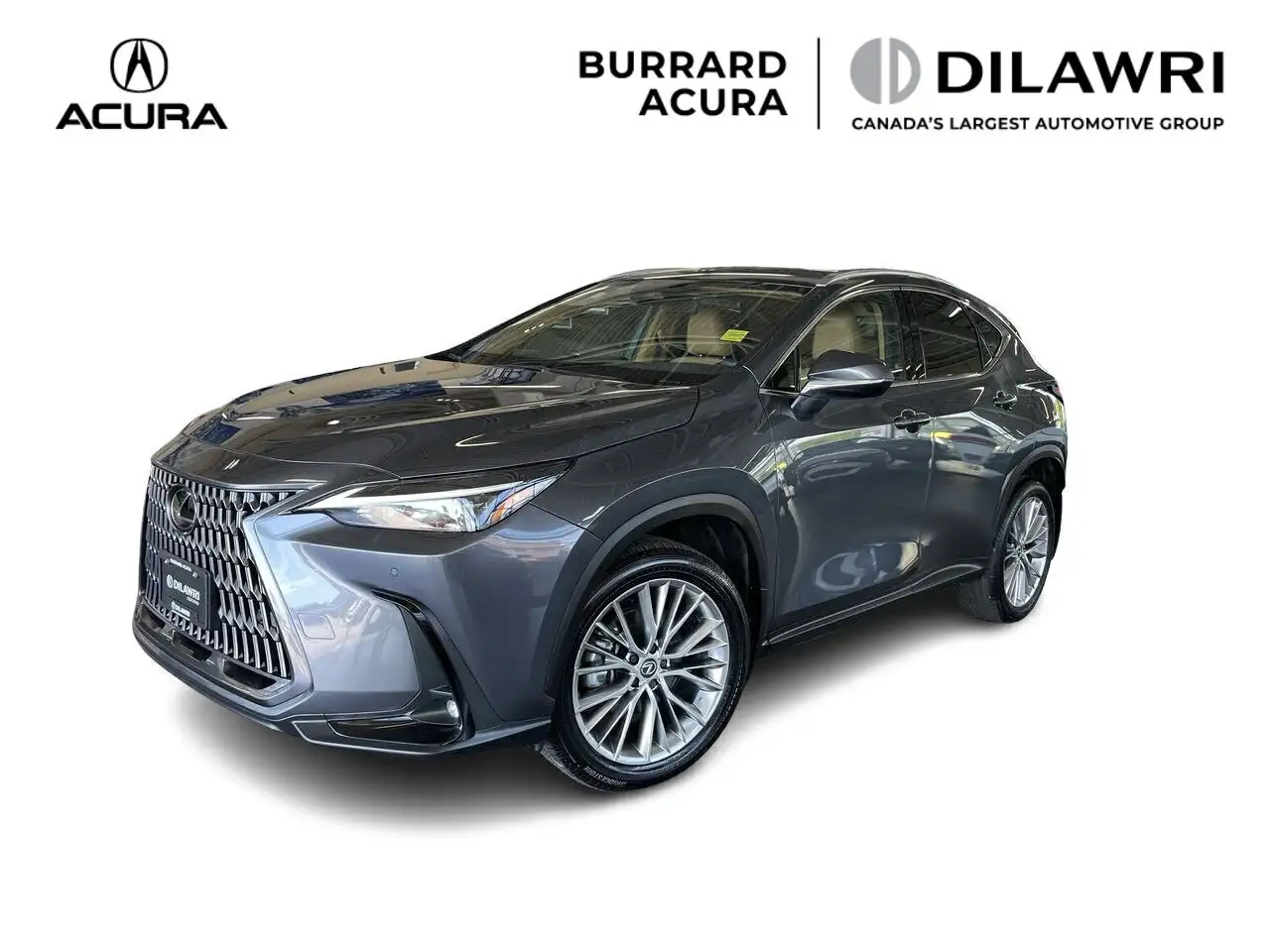 2025 Lexus NX