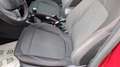 Ford Puma Puma II  1.0 IBRIDA h ST-Line - NO VINCOLO FINANZ. Rouge - thumbnail 15