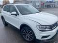 Volkswagen Tiguan Tiguan 1,4 TSI 4Motion Sky DSG Sky Weiß - thumbnail 1