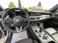 Alfa Romeo Stelvio 2.2JTD-AT8-Pano-Cuir🔝36.376 km🔝Full Blanc - thumbnail 9