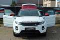 Land Rover Range Rover Evoque Britain III |1-HAND|PANO|AHK| Weiß - thumbnail 12
