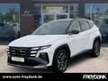 Hyundai New TUCSON Kombi 5-Sitze 1.6 Turbo Benzin Blanc - thumbnail 1