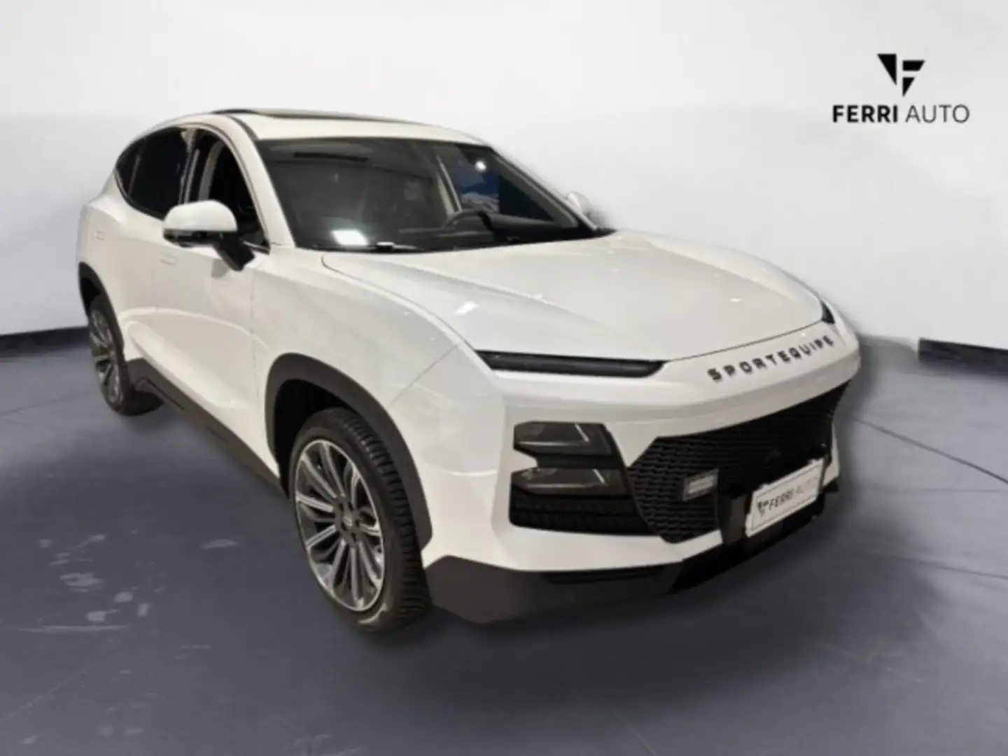 Sportequipe Sportequipe 6 GT 1.6 DCT Turbo GPL Wit - 2