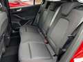Ford Focus Turnier ST-Line X Autom. ACC/Bliss/Sync IV Rot - thumbnail 19