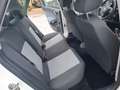 SEAT Ibiza Lim. Reference Salsa*Klima* Blanc - thumbnail 14