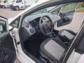 SEAT Ibiza Lim. Reference Salsa*Klima* Blanc - thumbnail 12