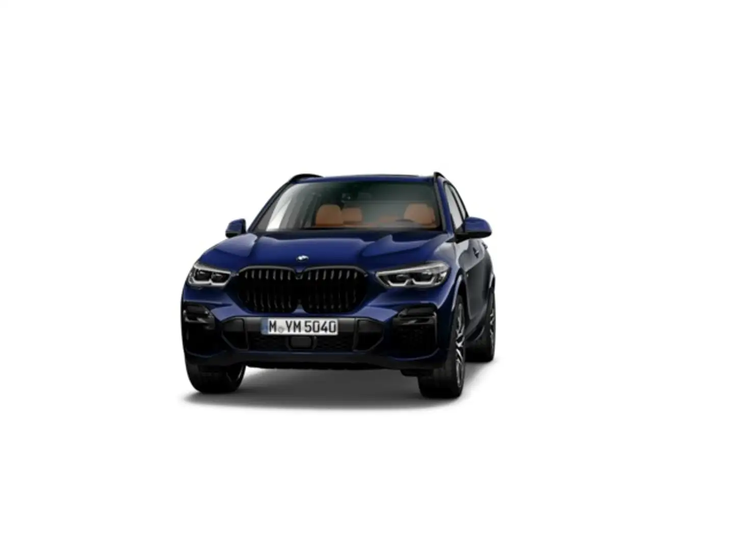 BMW X5 xDrive 30dA Bleu - 1