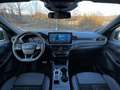 Ford Kuga 2,5l Duratec FHEV Black Package - thumbnail 10
