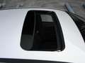 Ford Focus ST-Line 1.5 EcoBoost 150pk SCHUIF/KANTELDAK | 17'' Grijs - thumbnail 11