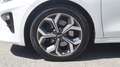 Kia Ceed / cee'd 1,5 T-GDI Gold, GARANTIE BIS 05.2028, UNFALLFREI Weiß - thumbnail 9