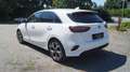 Kia Ceed / cee'd 1,5 T-GDI Gold, GARANTIE BIS 05.2028, UNFALLFREI Weiß - thumbnail 7