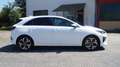 Kia Ceed / cee'd 1,5 T-GDI Gold, GARANTIE BIS 05.2028, UNFALLFREI Weiß - thumbnail 4