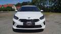 Kia Ceed / cee'd 1,5 T-GDI Gold, GARANTIE BIS 05.2028, UNFALLFREI Weiß - thumbnail 2