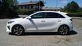 Kia Ceed / cee'd 1,5 T-GDI Gold, GARANTIE BIS 05.2028, UNFALLFREI Weiß - thumbnail 8