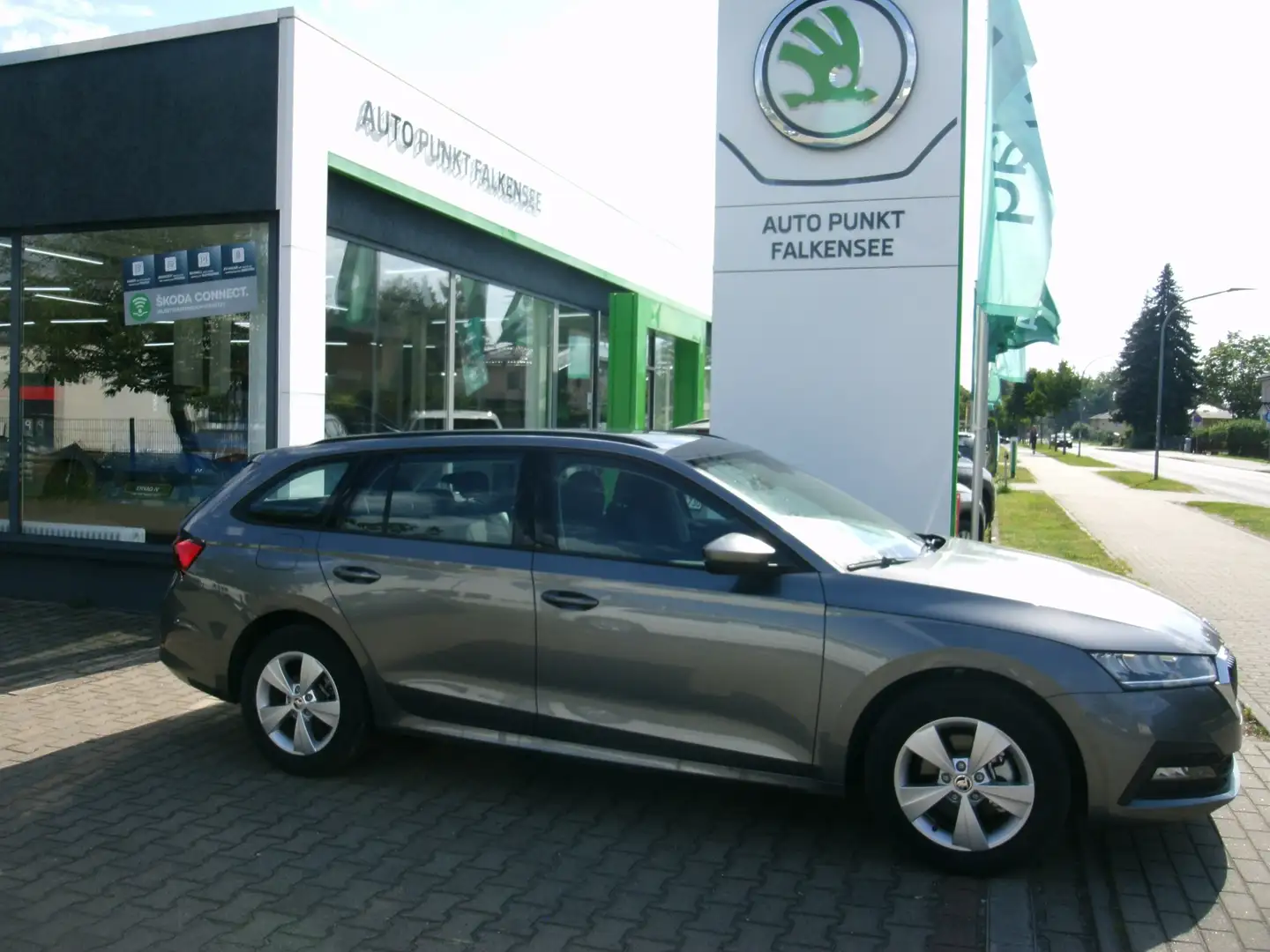 Skoda Octavia Active Grau - 1