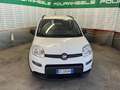 Fiat Panda Panda III 2021 anche noleggio da 250 mese Blanc - thumbnail 2