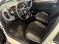 Fiat Panda Panda III 2021 anche noleggio da 250 mese Blanc - thumbnail 12