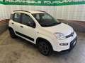 Fiat Panda Panda III 2021 anche noleggio da 250 mese Blanc - thumbnail 1