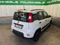 Fiat Panda Panda III 2021 anche noleggio da 250 mese Blanc - thumbnail 4