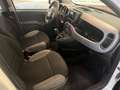 Fiat Panda Panda III 2021 anche noleggio da 250 mese Blanc - thumbnail 15