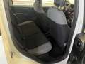 Fiat Panda Panda III 2021 anche noleggio da 250 mese Blanc - thumbnail 14