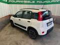 Fiat Panda Panda III 2021 anche noleggio da 250 mese Blanc - thumbnail 6