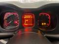 Fiat Panda Panda III 2021 anche noleggio da 250 mese Blanc - thumbnail 9