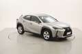 Lexus UX 250h Hybrid Business 2.0 Full Hybrid 184CV Grigio - thumbnail 7
