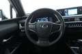 Lexus UX 250h Hybrid Business 2.0 Full Hybrid 184CV Grigio - thumbnail 11