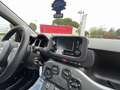 Fiat Panda Panda III 1.0cc hybrid City Life Grigio - thumbnail 6