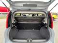 Fiat Panda Panda III 1.0cc hybrid City Life Grigio - thumbnail 11